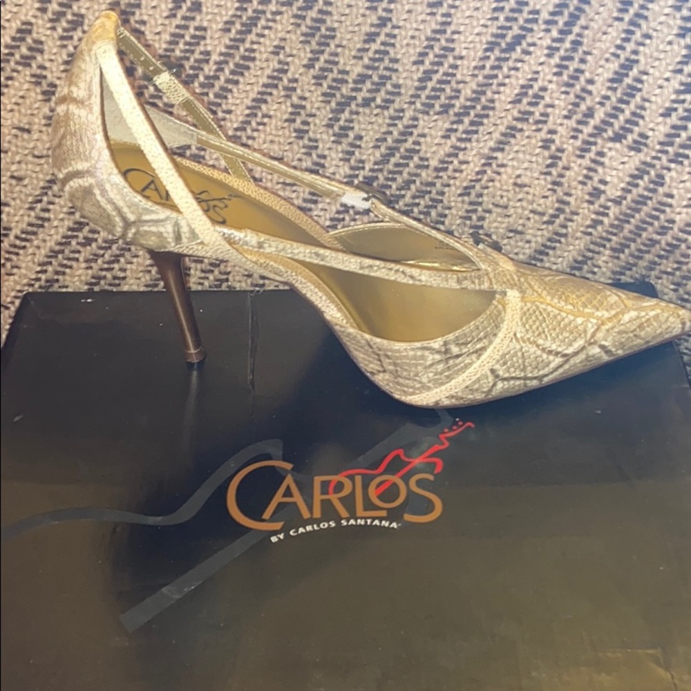 Carlos Santana heel